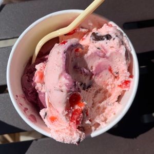 Meet your Posher, Will